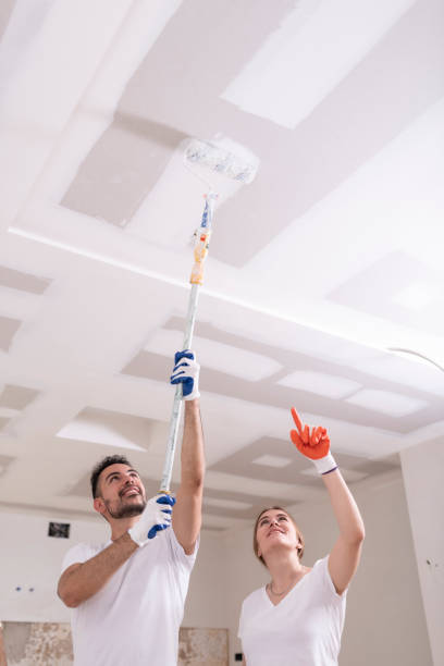 Best Commercial Mold Inspection  in Dana Point, CA