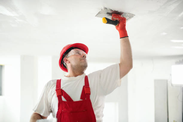 Best Basement Mold Removal  in Dana Point, CA