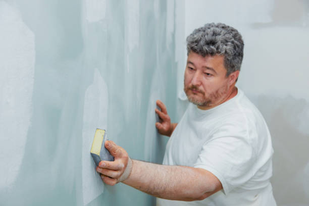 Best Post-Construction Mold Inspection  in Dana Point, CA