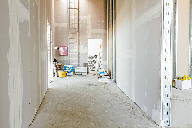 Best Mold Damage Restoration  in Dana Point, CA