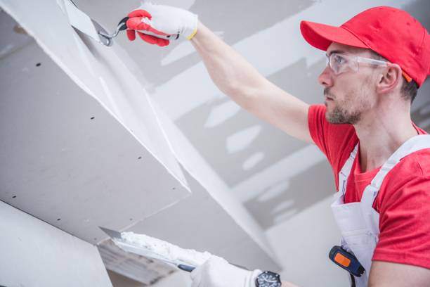 Best Real Estate Mold Inspection  in Dana Point, CA